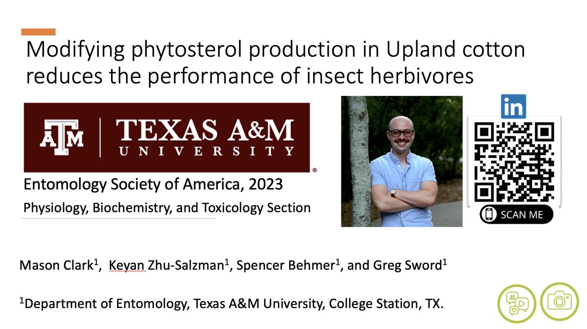 Greg Sword tweet media