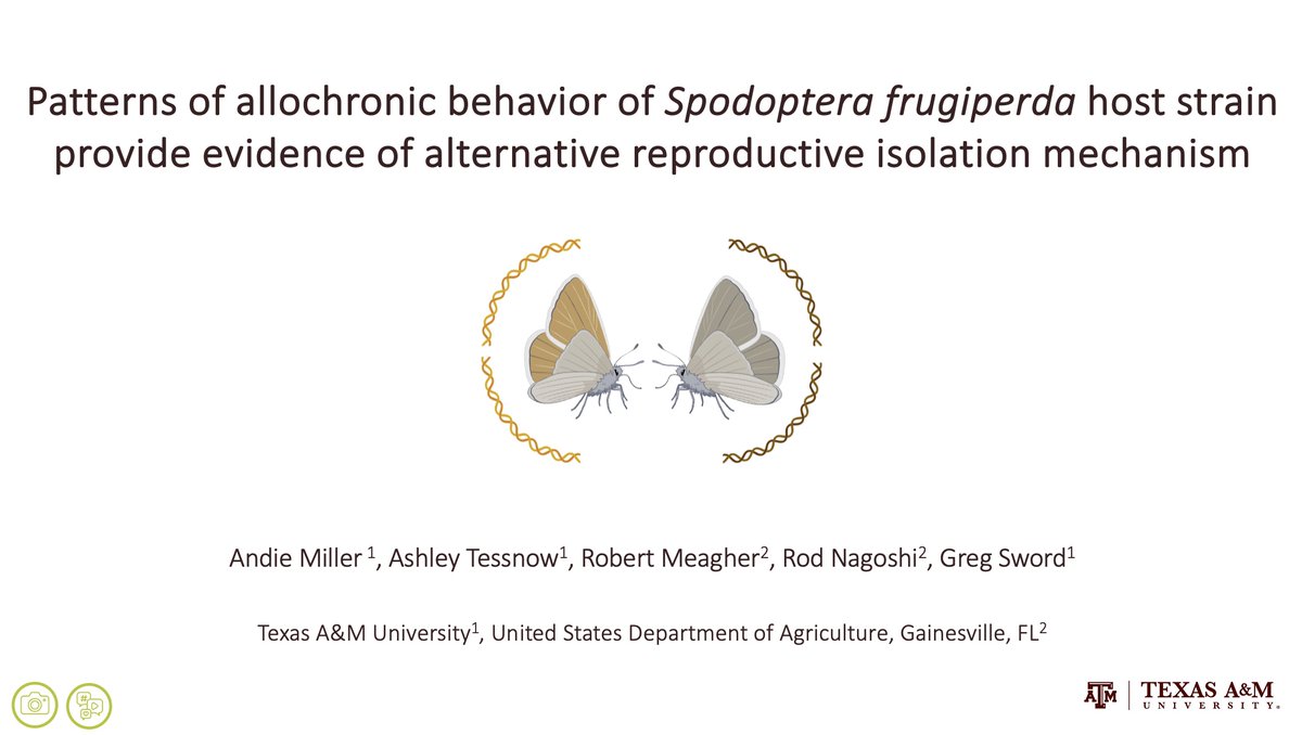 So proud of Sword Lab members Andie Miller and Mason Clark who both crushed it with 1st place wins in the Student Paper Competition at the 2023 Entomology Annual Meeting! @stbehmer @tamuentomology @TAMUEEB #EntSoc23 @EntsocAmerica