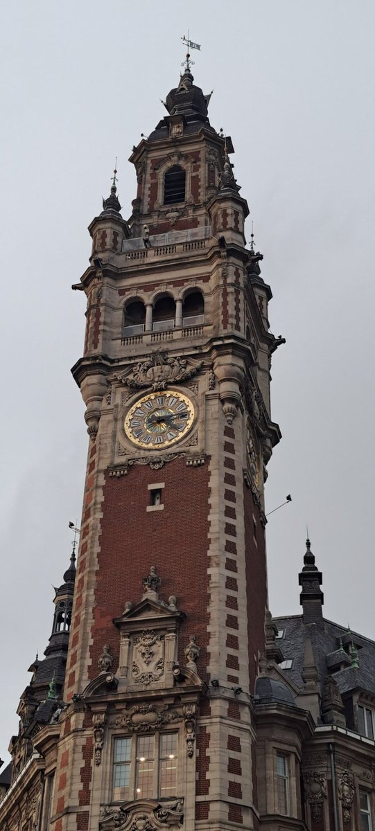 De_lege_lata's tweet image. Enfin arrivé, non sans mal. #1300km #Faim