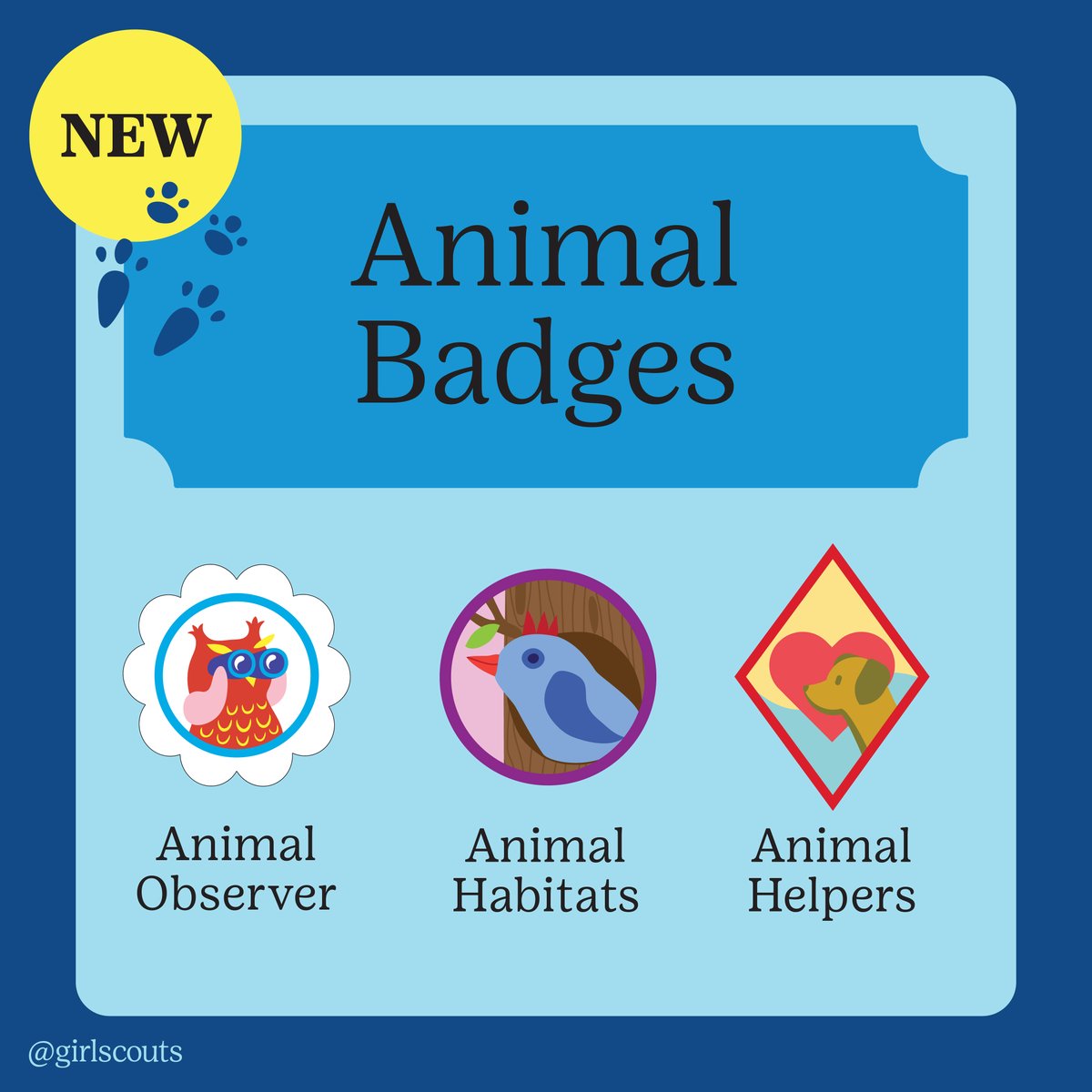 Girl Scouts tweet media