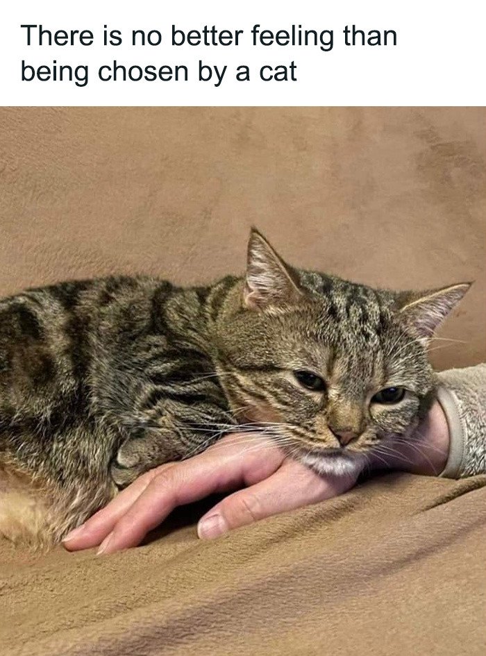 WholesomeMeme's tweet photo. https://t.co/BriHGiQljj