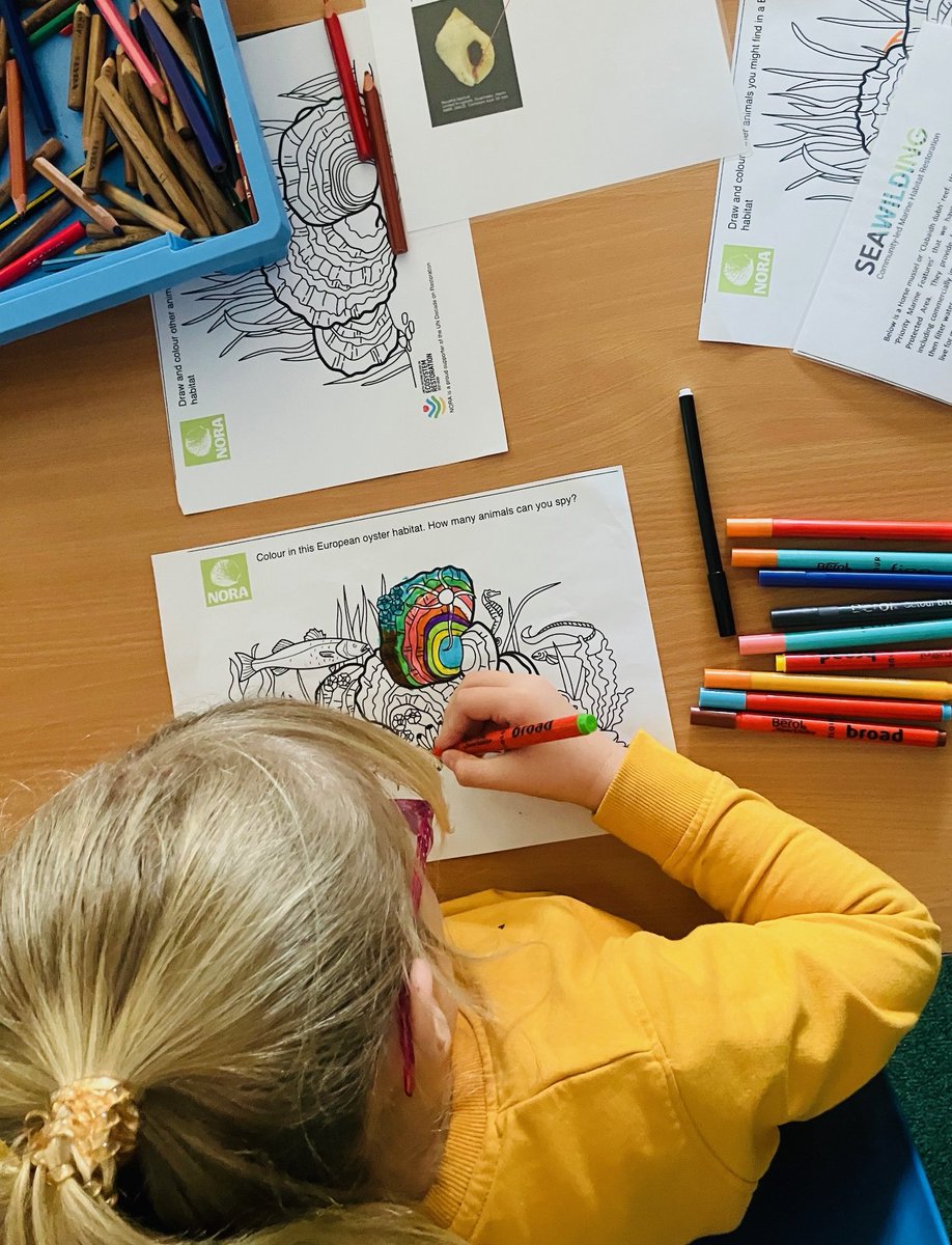 Ullapool Primary making use of some of the lovely downloadable materials from the @NORA_Europe website before they start monitoring oysters next week.🌞🤞They have chosen community groups to work with, and @seawilding are the lucky recipients of this sanctioned child labour!💪