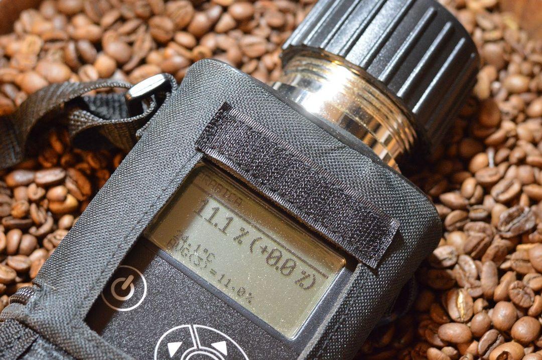 تنص منظمة القهوة المختصة على أن حبوب البن الخضراء يجب ان تحتوي على نسبة رطوبة من 8 الى 12%