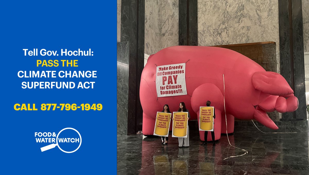 Tell @GovKathyHochul: Make the fossil fuel industry pay for climate damage.

Pass the #ClimateChangeSuperfund Act, in the budget.

📞 today: 877-796-1949