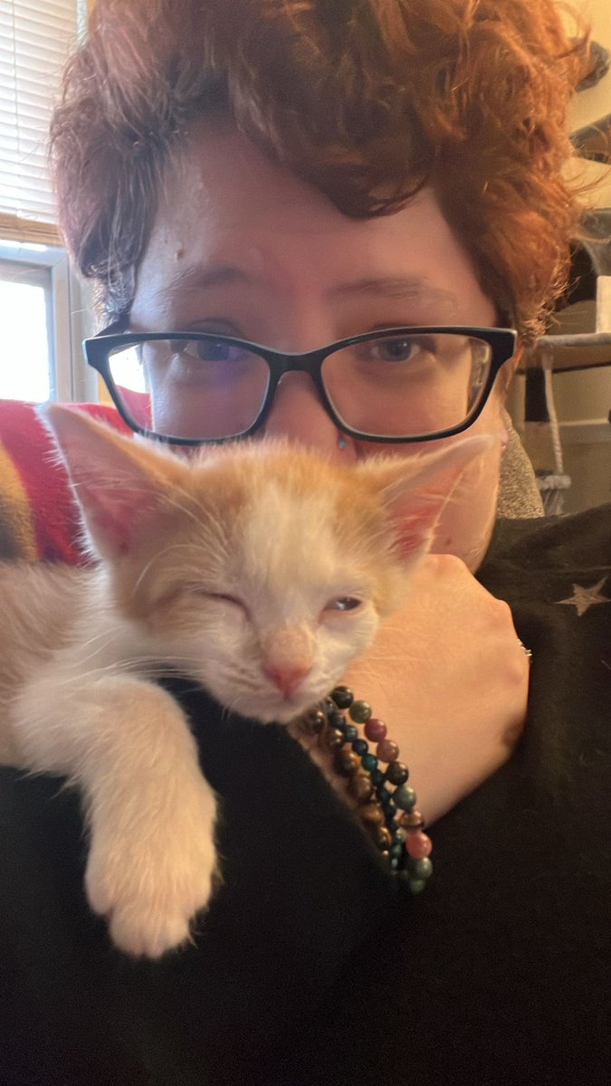 Storm Filistata tweet media