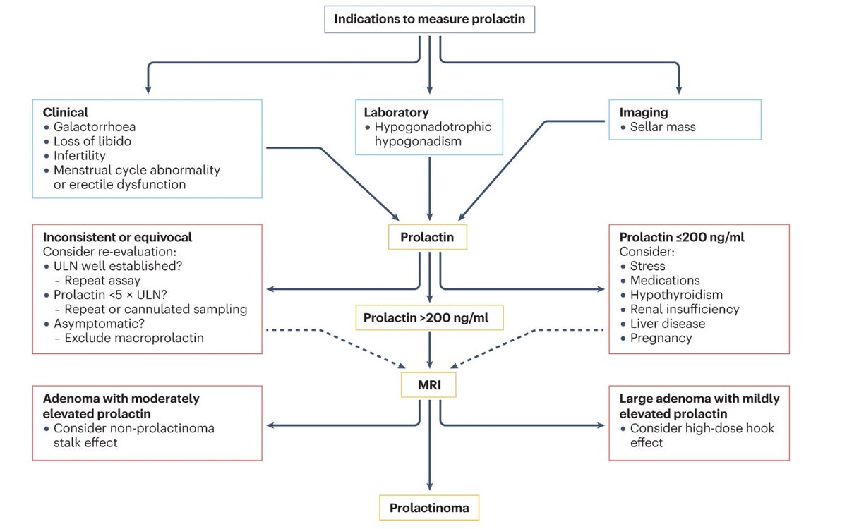 In our December issue: Stephan Petersenn and colleagues present evidence-based graded consensus recommendations and key summary points for clinical practice on the diagnosis and management of #prolactinomas go.nature.com/3r2ZN5Q #pituitary