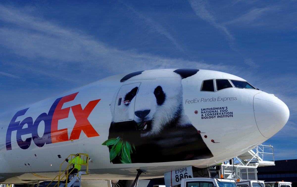 FedEx (@fedex) on Twitter photo The FedEx Panda Express has landed! Mei Xiang, Tian Tian, and their cub Xiao Qi Ji have arrived in Chengdu, China, from the <a href="/NationalZoo/">National Zoo</a> in Washington, D.C. 🛬🐼
bit.ly/3QPdmjl The FedEx Panda Express has landed! Mei Xiang, Tian Tian, and their cub Xiao Qi Ji have arrived in Chengdu, China, from the <a href="/NationalZoo/">National Zoo</a> in Washington, D.C. 🛬🐼
bit.ly/3QPdmjl