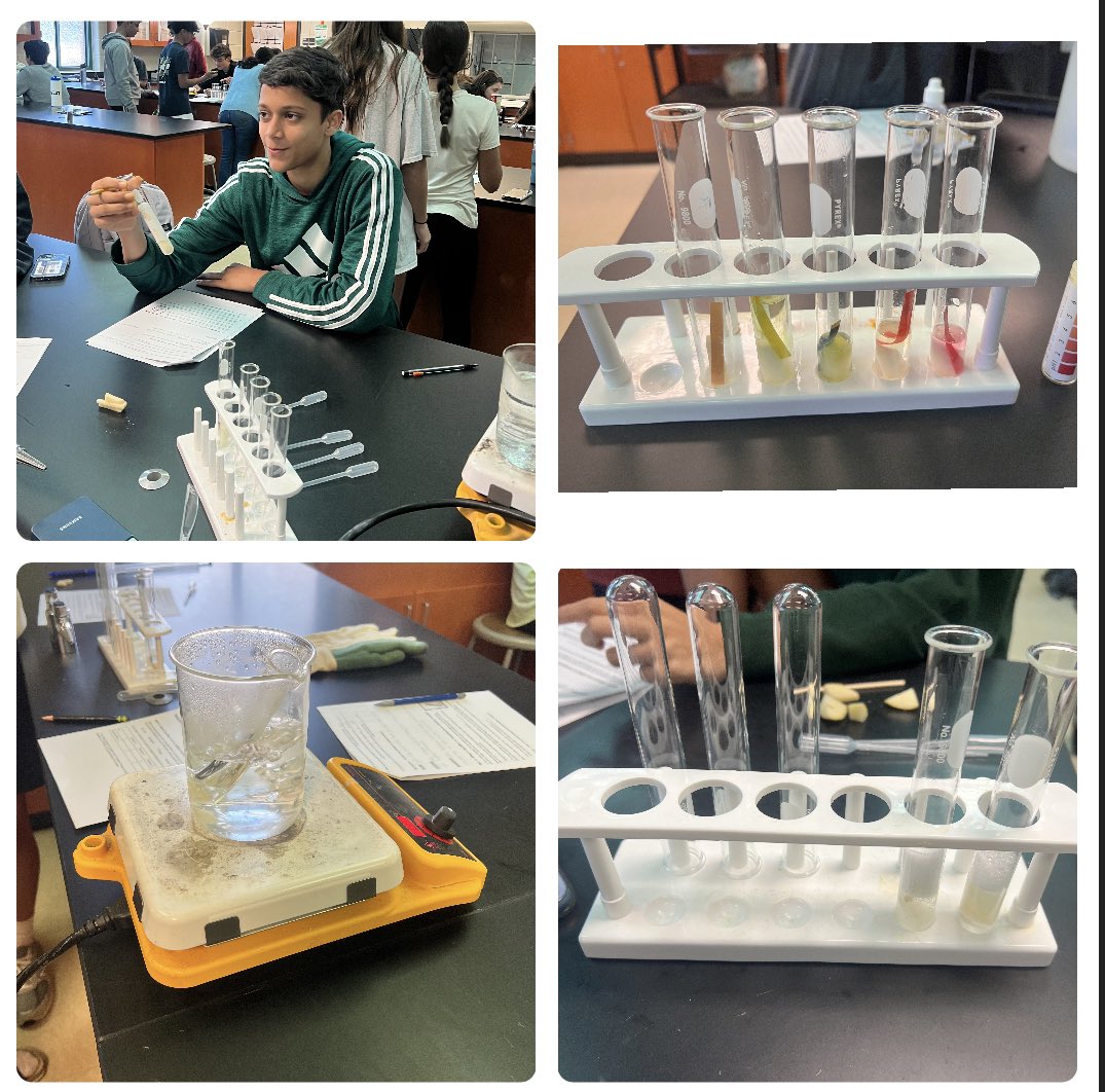 siorod03's tweet photo. Investigating effects of change in temp & pH on rxn rates of an enzyme π©βπ¬π§βπ¬π§ͺπ₯
#WeAreWest #EnzymeLab #HonorsBio https://t.co/V3xVxEoUr3