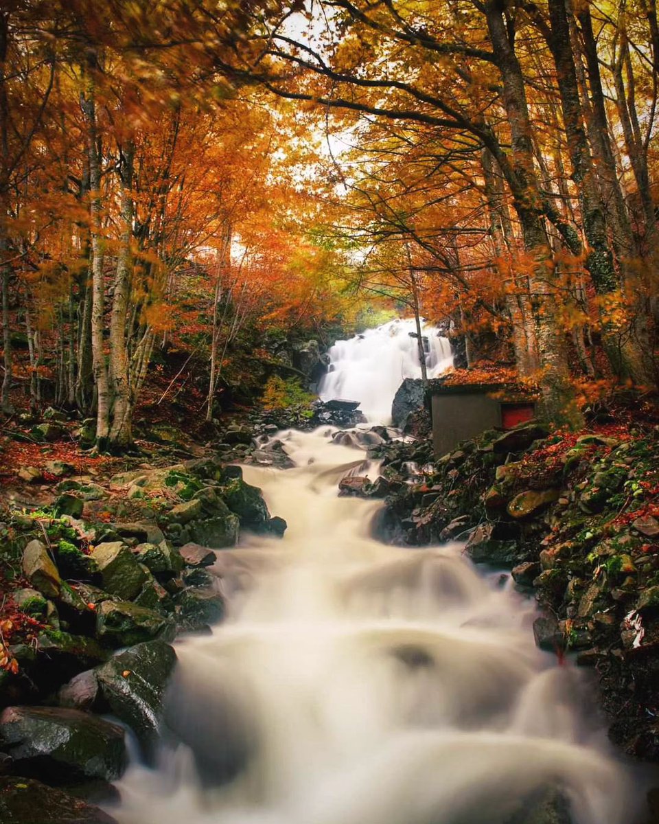 ModenaDintorni's tweet photo. ๐ #Autunno al #LagoSanto Modenese
โจ Se siete tra quelli che questโanno non sono riusciti a godersi i magici colori dโautunno al Lago Santo, non preoccupatevi, mettetevi comodi, e godetevi queste foto!
Foto di Max Lazzi e Ivan Selva https://t.co/2k9ZLEHGfb