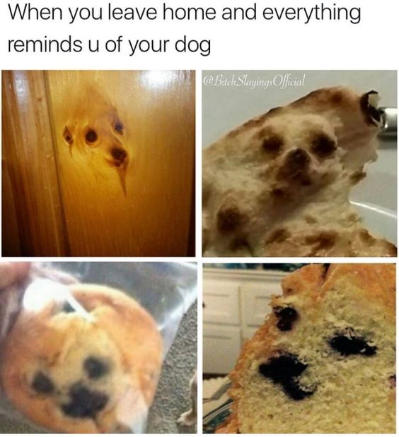 WholesomeMeme's tweet photo. https://t.co/a75EUY9qdm