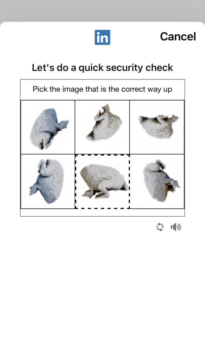 Managed to get through security without my glasses on despite at first thinking this was a) a raw chicken and then b) a brain.