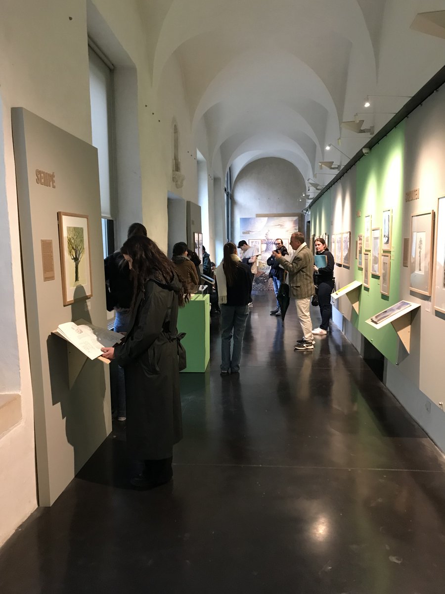 LMSchlenker's tweet image. Cet après-midi les M1 @CcstMaster découvrent le jardin du cloitre du couvent Sainte Cécile, recréé comme au 17ème siècle. Un projet de patrimonialisation  mené par Aurélie Perret du Fonds Glénat @Glenat et Serge Krivobok, directeur du jardin Dominique Villars @UGrenobleAlpes.