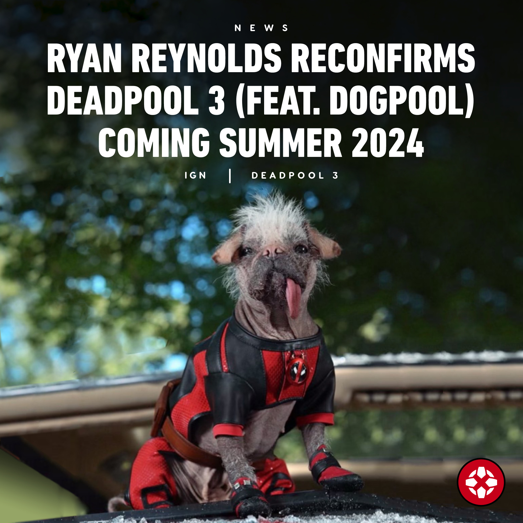 Deadpool 3 Revela 'Dogpool' E Nova Previsão De Estreia Para O Verão De 2024  - TGeeK