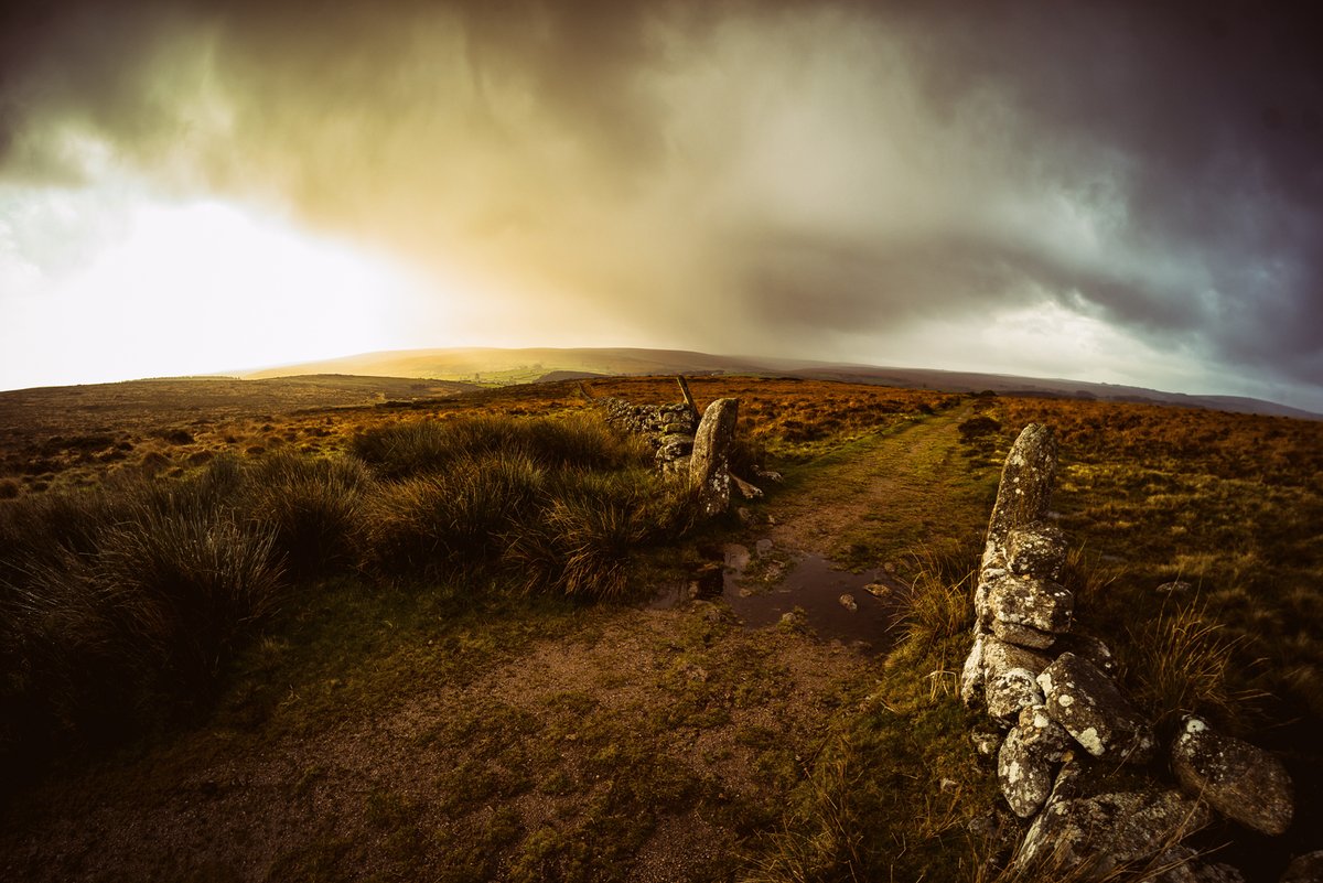 GlavindStrachan's tweet photo. #Gateposts below #LaughterTor by #Dunnabridge #EngineShaft on #Dartmoor this morning as the sun came out after yet another downpour π· #landscapephotography https://t.co/JpLiLE2c35