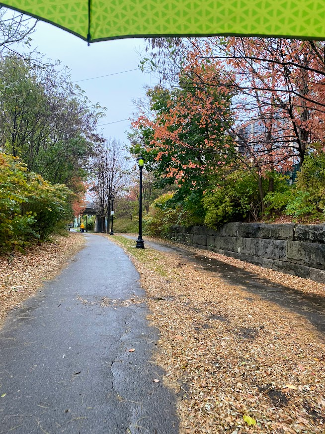 this morning's rainy start on the east boston greenway