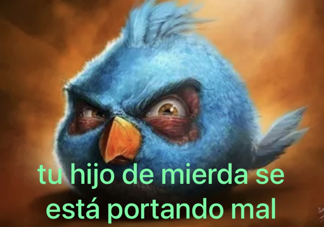 *mi madre volviendo a casa*

un puto pájaro en una rama: