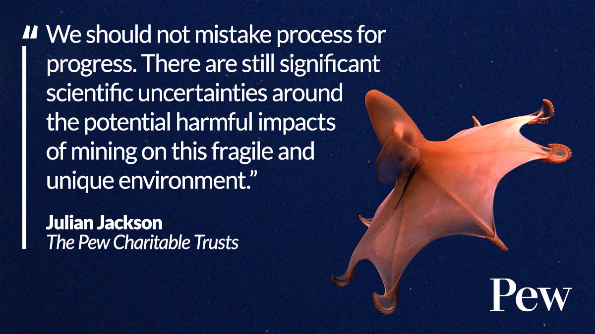 pewenvironment's tweet photo. As #ISA28 concludes, the call for a moratorium on #DeepSeaMining echoes louder.

We must not trade our oceans' health for short-term gains. #DefendTheDeep https://t.co/P50GpFiyN1