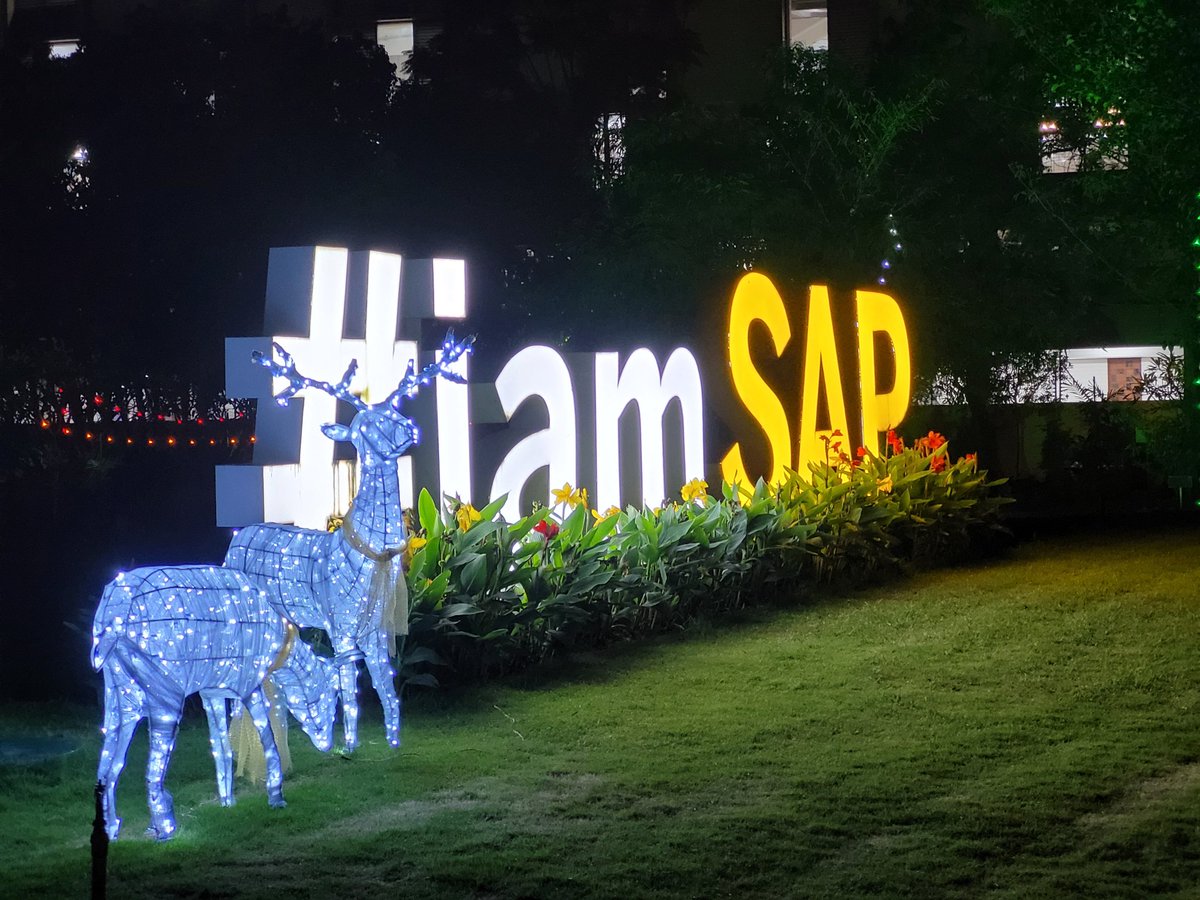 bhargavtweet's tweet image. Amazing Deepavali decoration🎊🪔 @saplabsindia

#saplabs