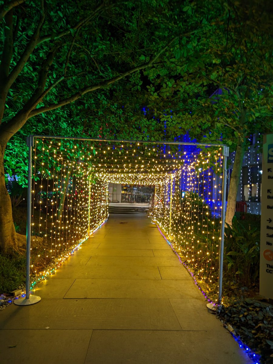 bhargavtweet's tweet image. Amazing Deepavali decoration🎊🪔 @saplabsindia

#saplabs