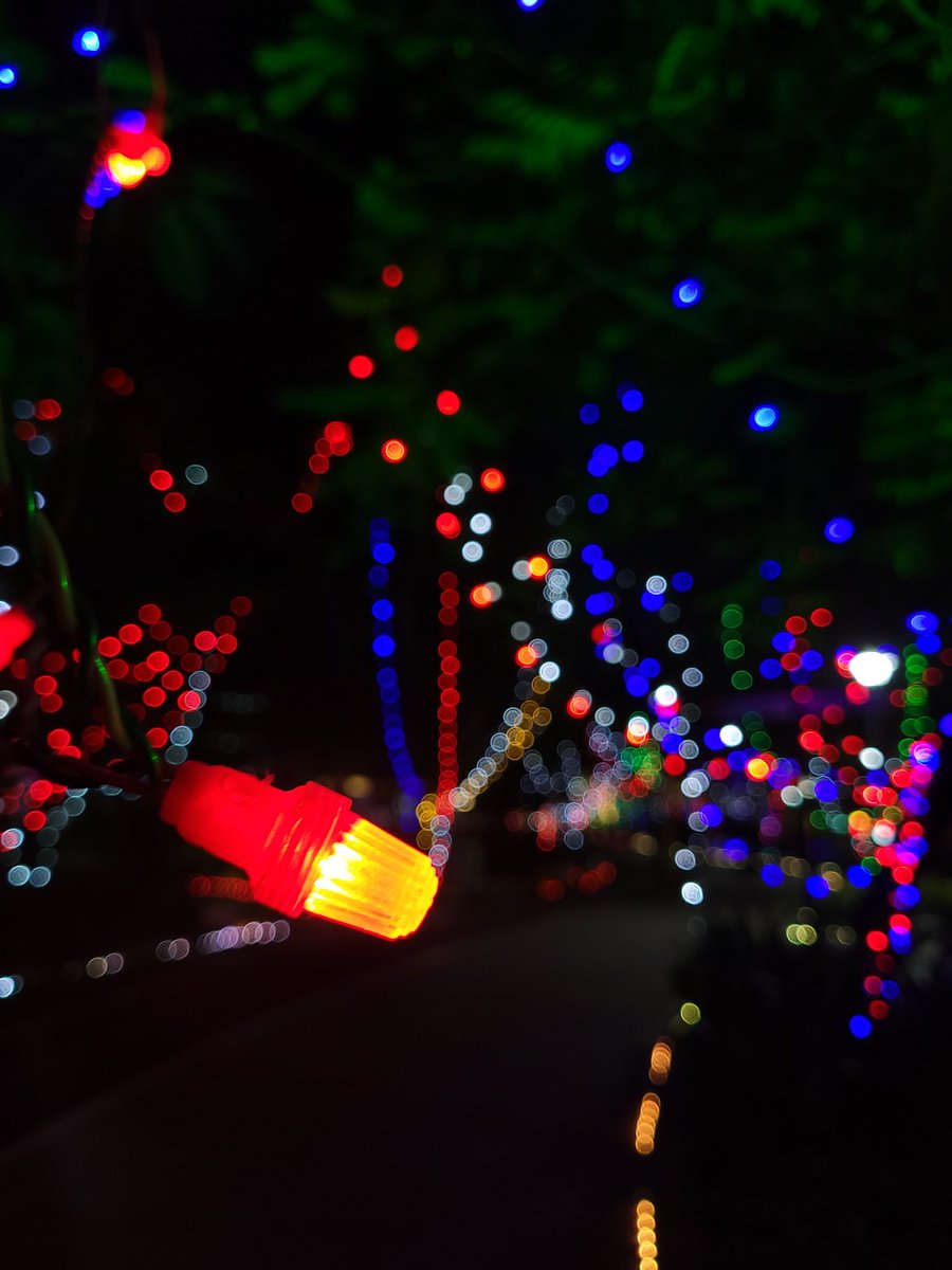 bhargavtweet's tweet image. Amazing Deepavali decoration🎊🪔 @saplabsindia

#saplabs