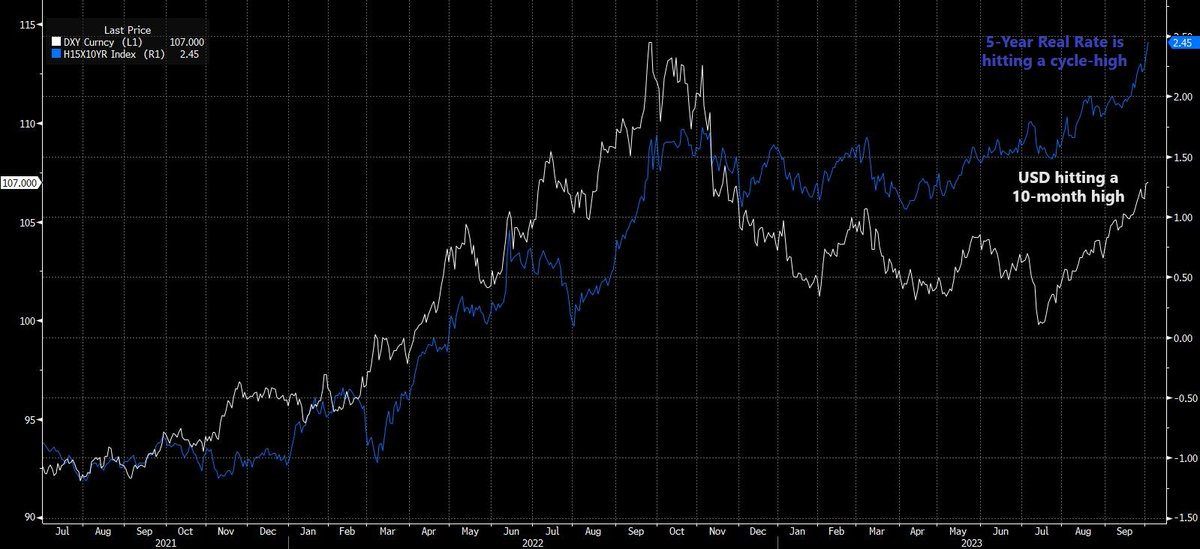 U.S. Dollar: Bearish outlook or safe haven?

The dominant narrative of 2023 revolved around rising interest rates and the persistent speculation over the imminent threat of a recession. Interest rate hikes have propelled the dollar to new heights this year, confirming that when