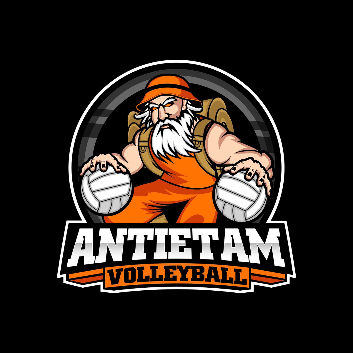 Antietam Volleyball tweet media