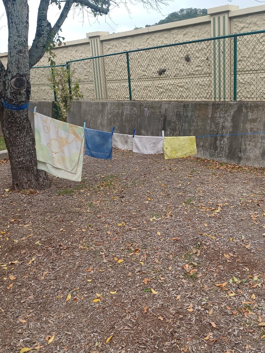 heykellicombs's tweet image. Wet playground? No problem in our class. The kids love to help dry the equipment! @NISD_ECE @NISDLeonSprings