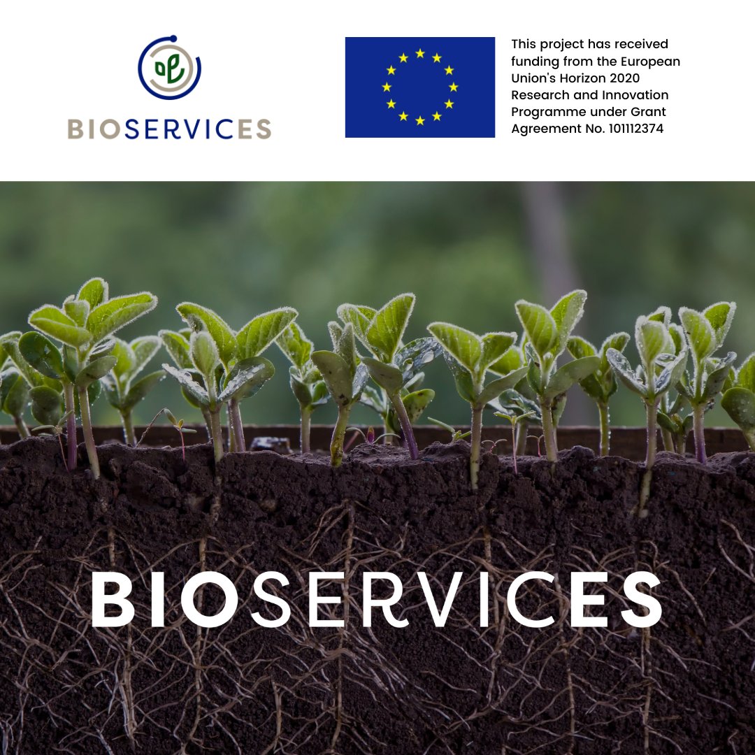 We are excited to officially announce the start of our project!
Find out more about our project and its mission in the link below: green.start-up.ro/en/bioservices…

#BIOES #Bioservices #HorizonProject #EuropeanProject