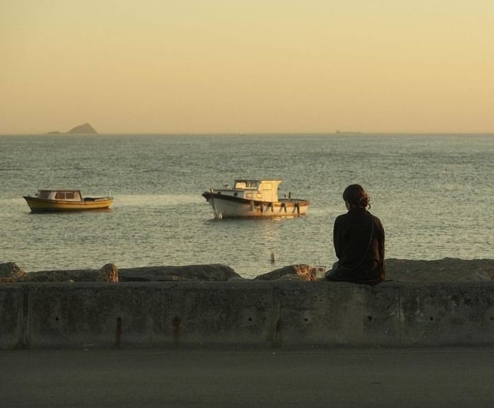 Novelle art. tweet media