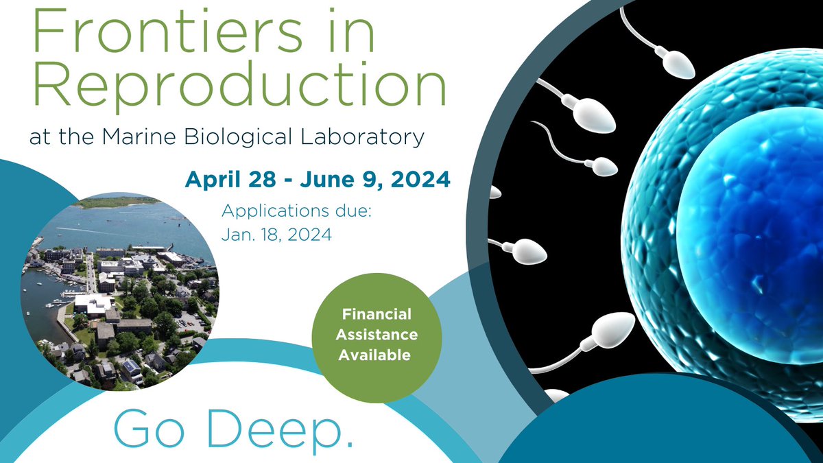 Frontiers in Reproduction: Molecular and Cellular Concepts and Applications (@FIRbees) 🚼 April 28 - June 9, 2024 Applications Deadline: Jan. 18, 2024 go.mbl.edu/FIRbees
