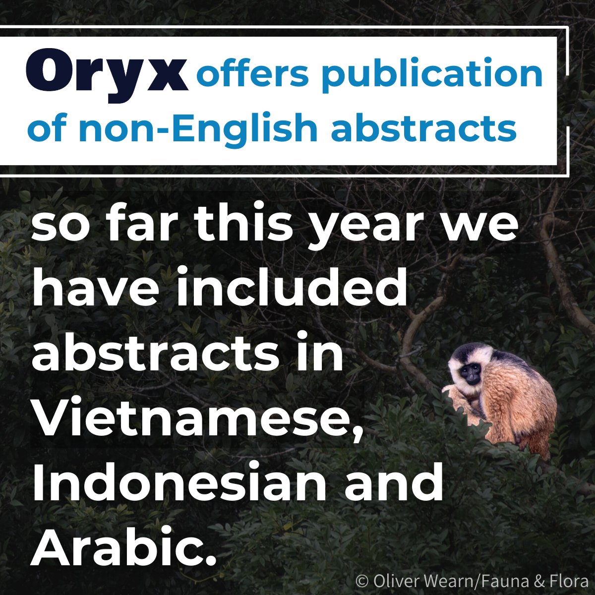 OryxTheJournal's tweet photo. We are delighted to offer the inclusion of non-English abstracts to make your research more accessible 🌎 We currently have articles with Indonesian and Arabic abstracts in press, and published @olliewearn et al.'s Vietnamese abstract earlier this year: https://t.co/h5tDMwa6Vd https://t.co/PpoI0T5CqB