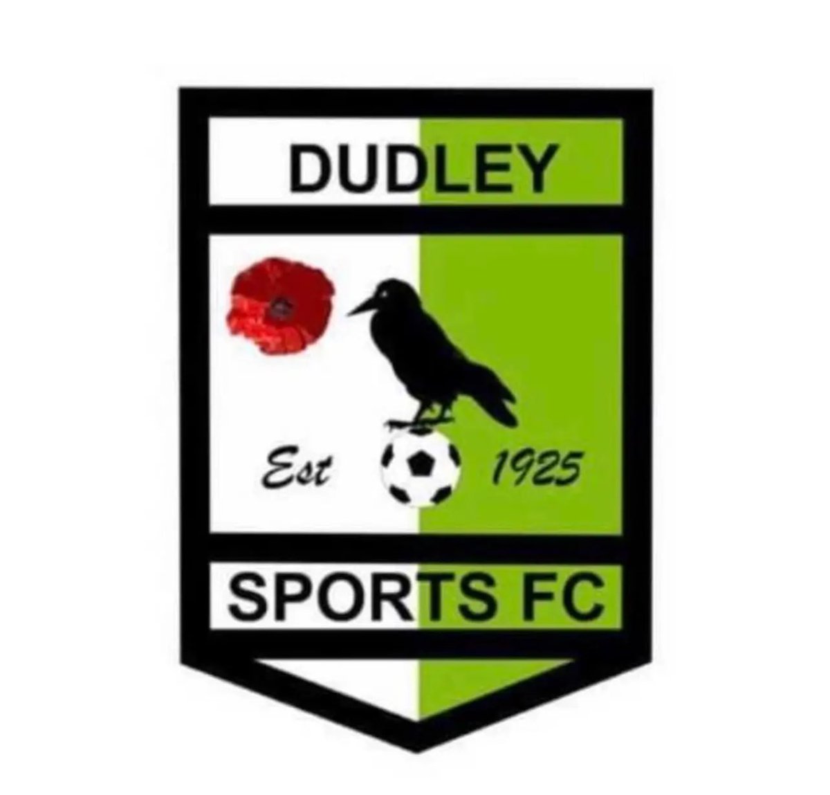 JamesTaylorDSFC's tweet photo. @DudleySportsFC 
Sports Ay We 💚🖤 https://t.co/DnNdYjV16h