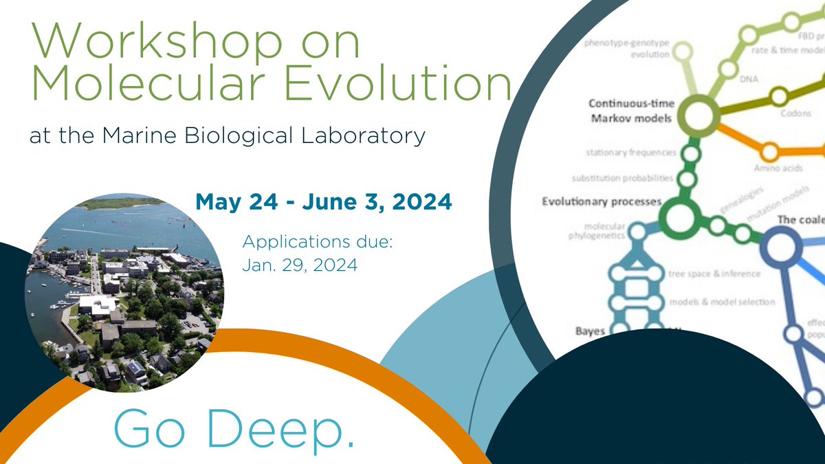 Workshop on Molecular Evolution (MOLE) May 24 - June 3, 2024 🧬 Application Deadline: Jan. 29, 2024 go.mbl.edu/MolEvol