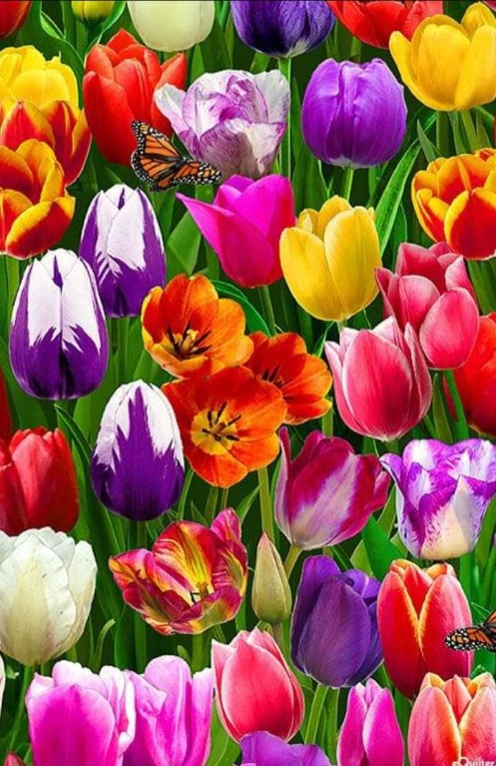 cinarayaz68's tweet photo. https://t.co/6o2cFeAII5