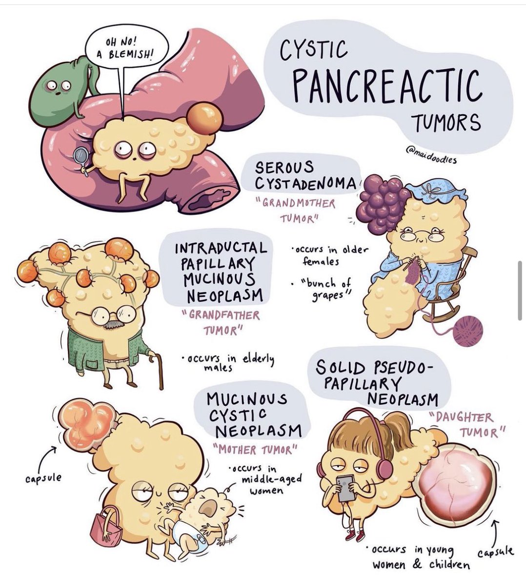 Pancreas geeks 🤓 this is for you 🎁 

It literally made my day!!! 

Credits to maidoodles.com