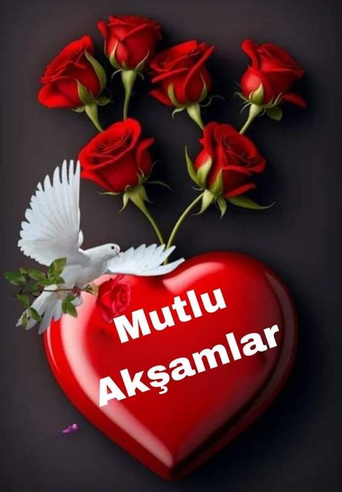 cinarayaz68's tweet photo. https://t.co/BHZw8mZQvO