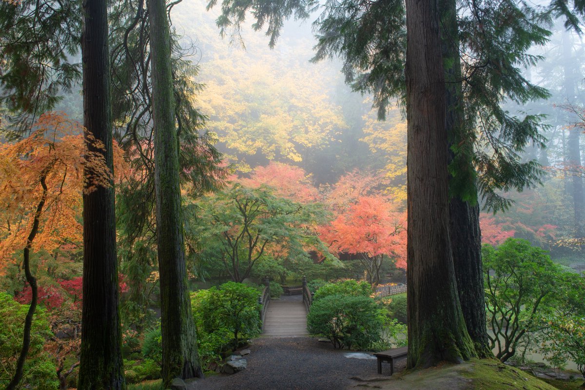A photo stroll through a foggy <a href="/PDXJapaneseGdn/">Portland Japanese Garden</a> yesterday morning.