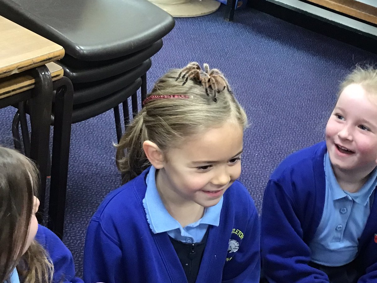 Christletonpri's tweet image. What a fantastic session year 2 have had with @AnimalsTakeOver today, we learnt so much got to handle so many interesting animals.