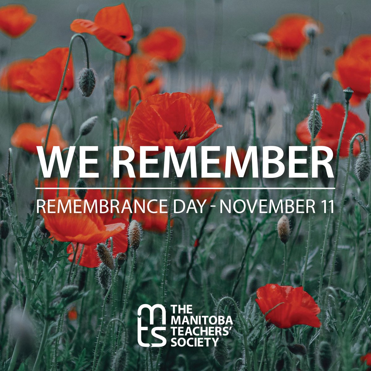 Remembrance Day is this Saturday, November 11th. Remembering the sacrifices of Canadians in uniform is as vital today as it was over 90 years ago, on Canada’s first Remembrance Day. #November11 #LestWeForget #IndigenousVeterans #CanadaRemembers #RemembranceDay #RemembranceDay2023