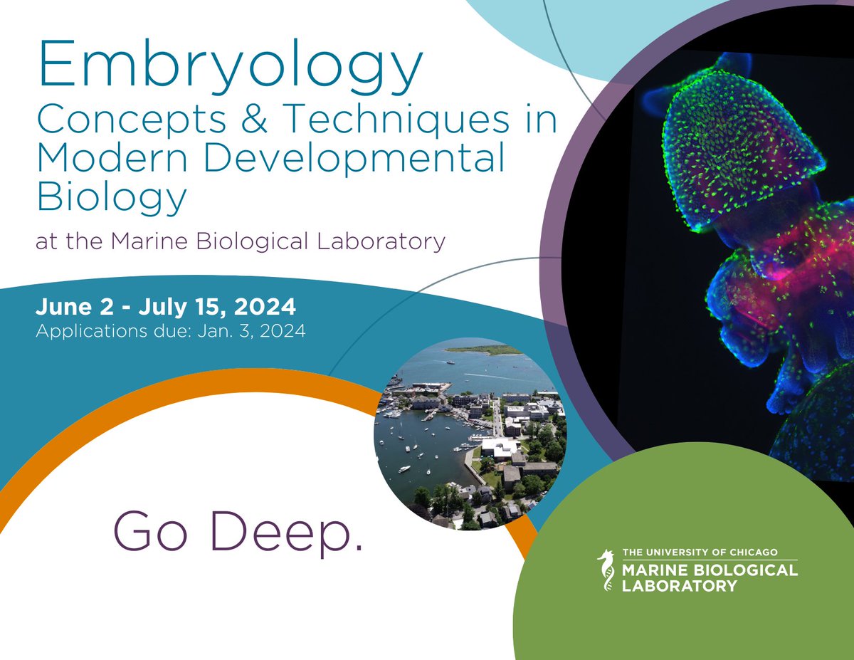 Embryology: Concepts & Techniques in Modern Developmental Biology (#Embryo2024) 🥚🐣 June 2 - July 15, 2024 Application Deadline: Jan. 3, 2024 go.mbl.edu/embryology