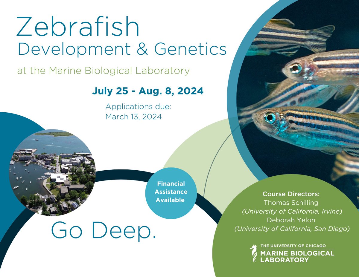 Zebrafish Development & Genetics 🦓🐟 July 25- Aug. 8, 2024 Applications due: March 13, 2024 go.mbl.edu/Zebrafish