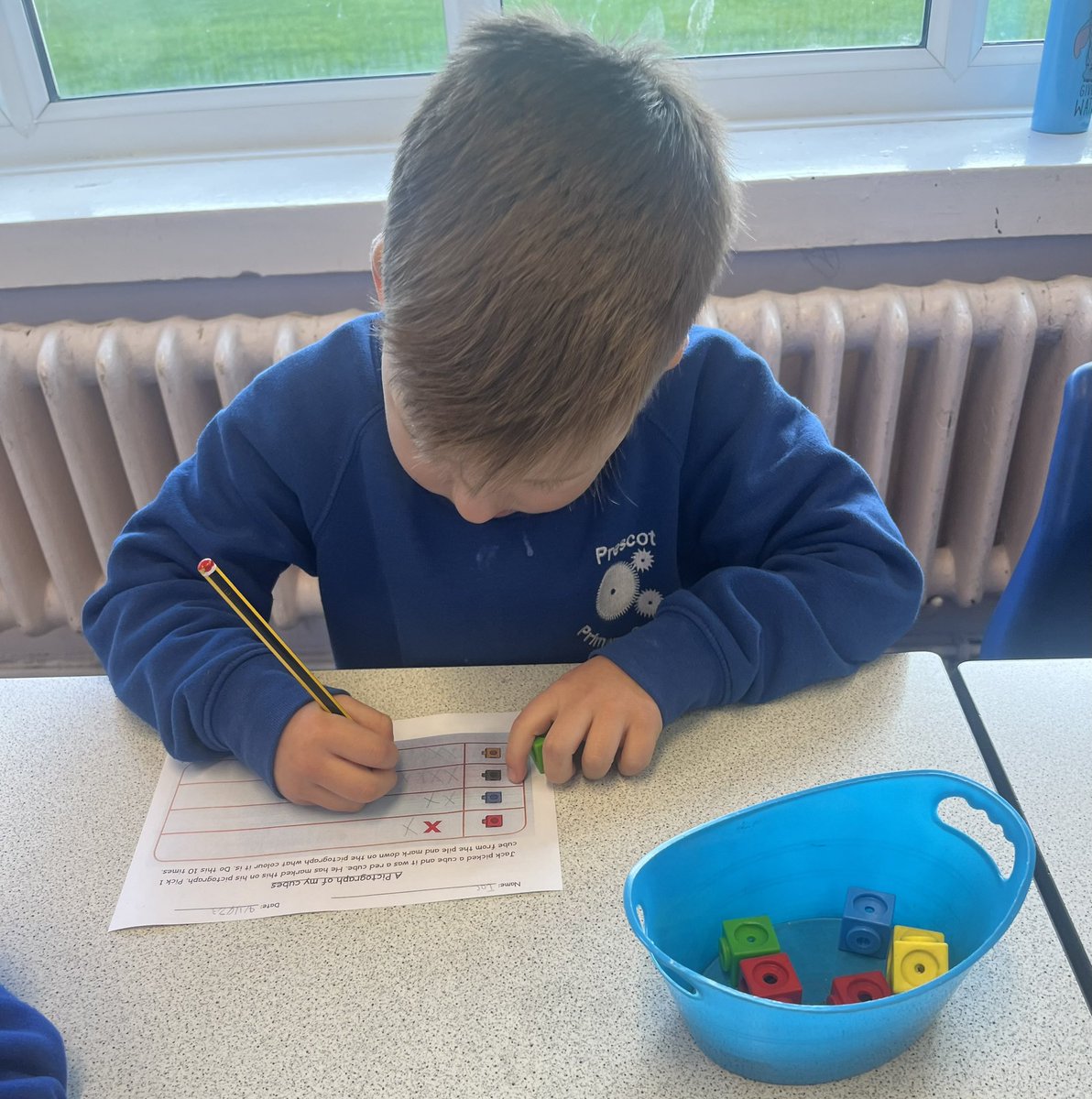 PCPPandas's tweet image. Today we collected our own data and presented it in a picture graph. We closed our eyes, chose a cube and recorded the colours of the cubes. We told our partners what colour we chose the most &amp;amp; what colour we chose the least. #pcpmaths