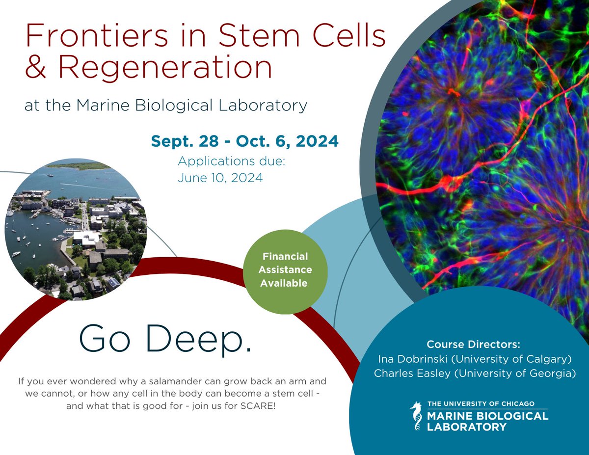 Frontiers in Stem Cells & Regeneration (@MBL_SCARE) 🦎 Sept. 28 - Oct. 6, 2024 Applications Due: June 10, 2024 go.mbl.edu/SCARE