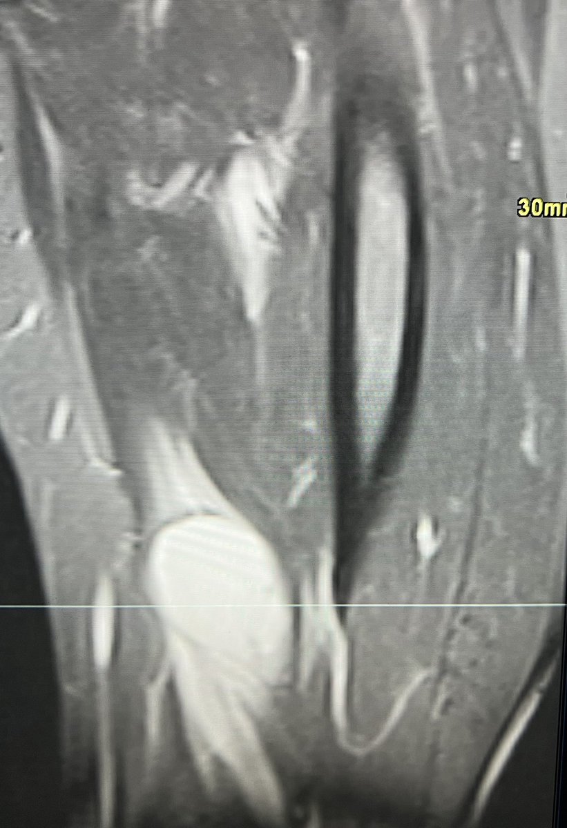 MSK Teaching Room tweet media