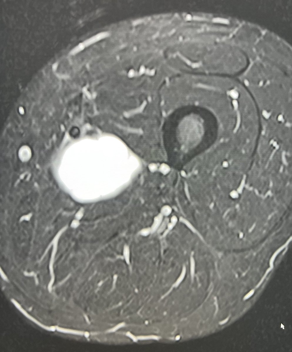 MSK Teaching Room tweet media