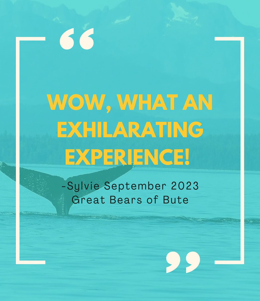 Did you enjoy your tour? Leave us a review on Google or Trip Advisor! 

#tripadvisor #tripadvisorexperiences #review #worldtravel #grizzlybear #wildlifeviewing #wildlifetours #culturaltour