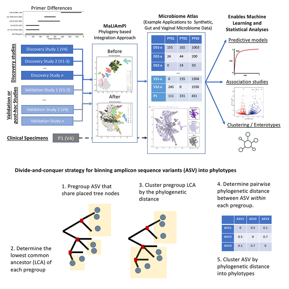 tomiko oskotsky (@tomiko22) on Twitter photo Read about #MaLiAmPi -- work by <a href="/golob/">Jonathan Golob, MD PhD</a> <a href="/UMich/">University of Michigan</a> <a href="/SMinot/">samuel minot</a> <a href="/fredhutch/">Fred Hutch Cancer Center</a> just published in <a href="/CellRepMethods/">Cell Reports Methods</a> to harmonize technically diverse #microbiome studies, enabling meta-analyses and more. Read about #MaLiAmPi -- work by <a href="/golob/">Jonathan Golob, MD PhD</a> <a href="/UMich/">University of Michigan</a> <a href="/SMinot/">samuel minot</a> <a href="/fredhutch/">Fred Hutch Cancer Center</a> just published in <a href="/CellRepMethods/">Cell Reports Methods</a> to harmonize technically diverse #microbiome studies, enabling meta-analyses and more.