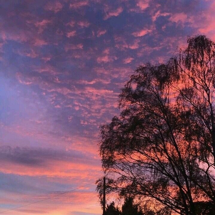 _bxrri_'s tweet image. Inhale pink skies, exhale worries. #pinkskies