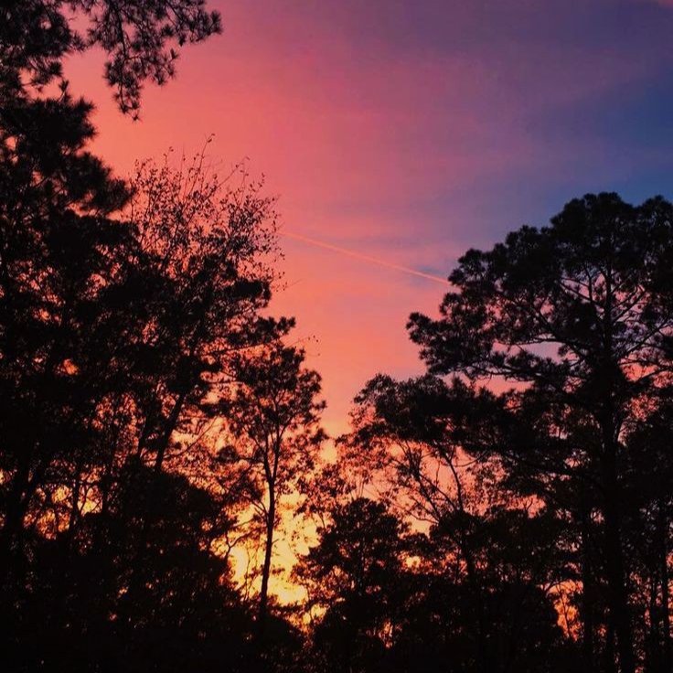 _bxrri_'s tweet image. Inhale pink skies, exhale worries. #pinkskies