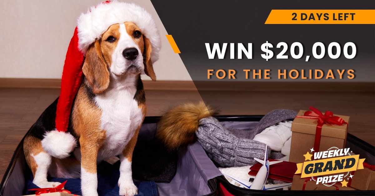 PchProgram1927's tweet image. This is a best opportunity 😍❤️